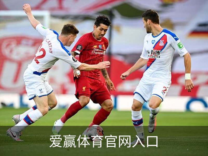 爱赢体育官网入口介绍